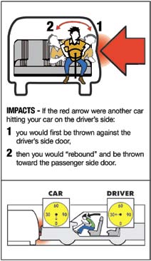 Occupant Protection | Written DMV Test