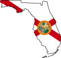 Florida outline with flag in-fill