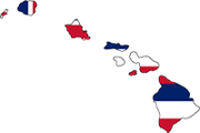 Hawaii outline with flag in-fill