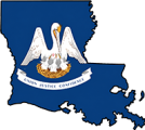 Louisiana state outline with flag in-fill